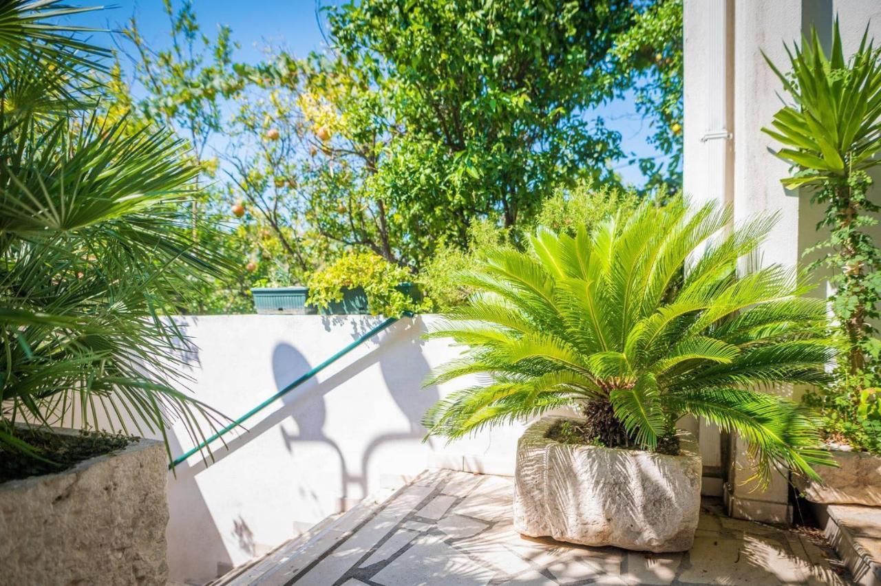Apartmani Gradac グラダツ エクステリア 写真
